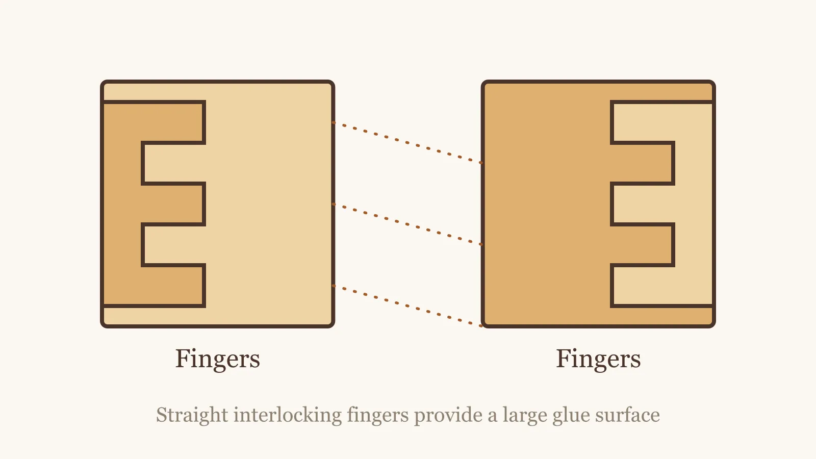 Diagram of a finger joint
