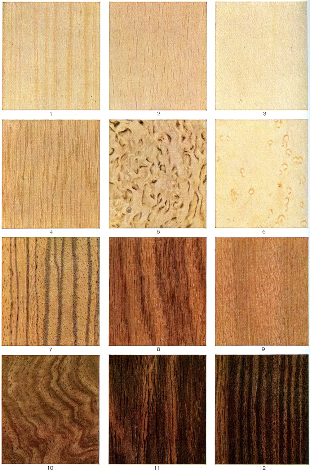 A grid of wood samples showing different grain patterns